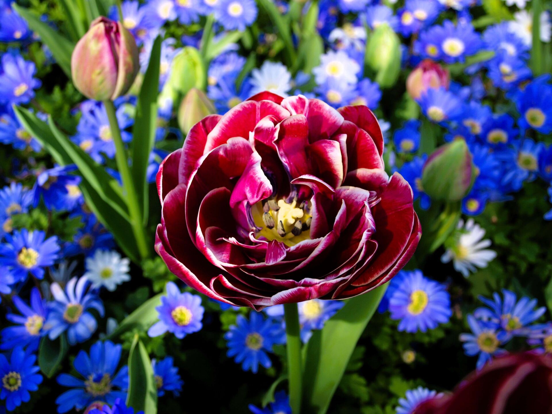 Landesgartenschau 2026 Landesgartenschau 2026