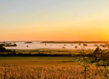 Mit dem Fahrrad im Morgennebel ums Steinhuder Meer